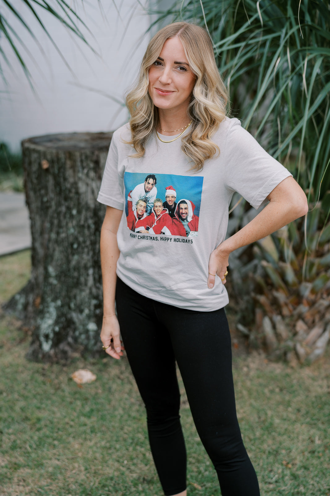 Merry Christmas and Happy Holidays Tee